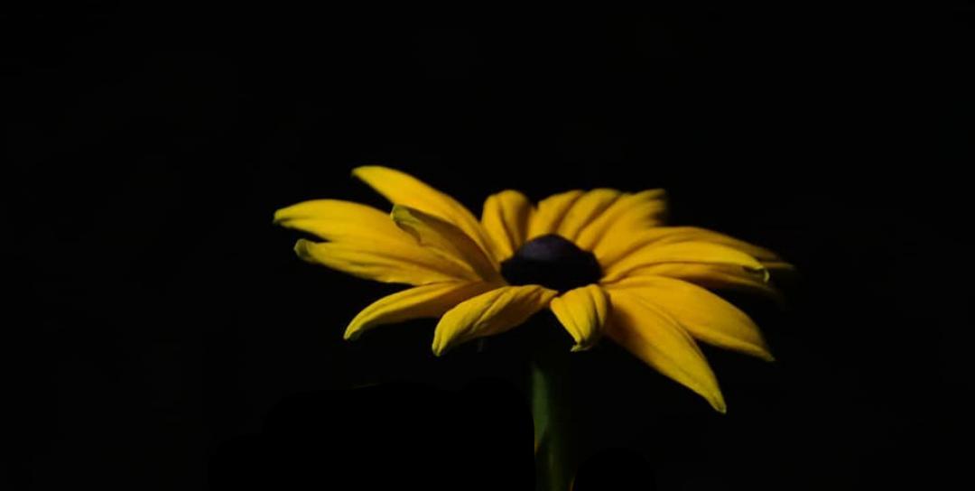 photo macro 1 image macro